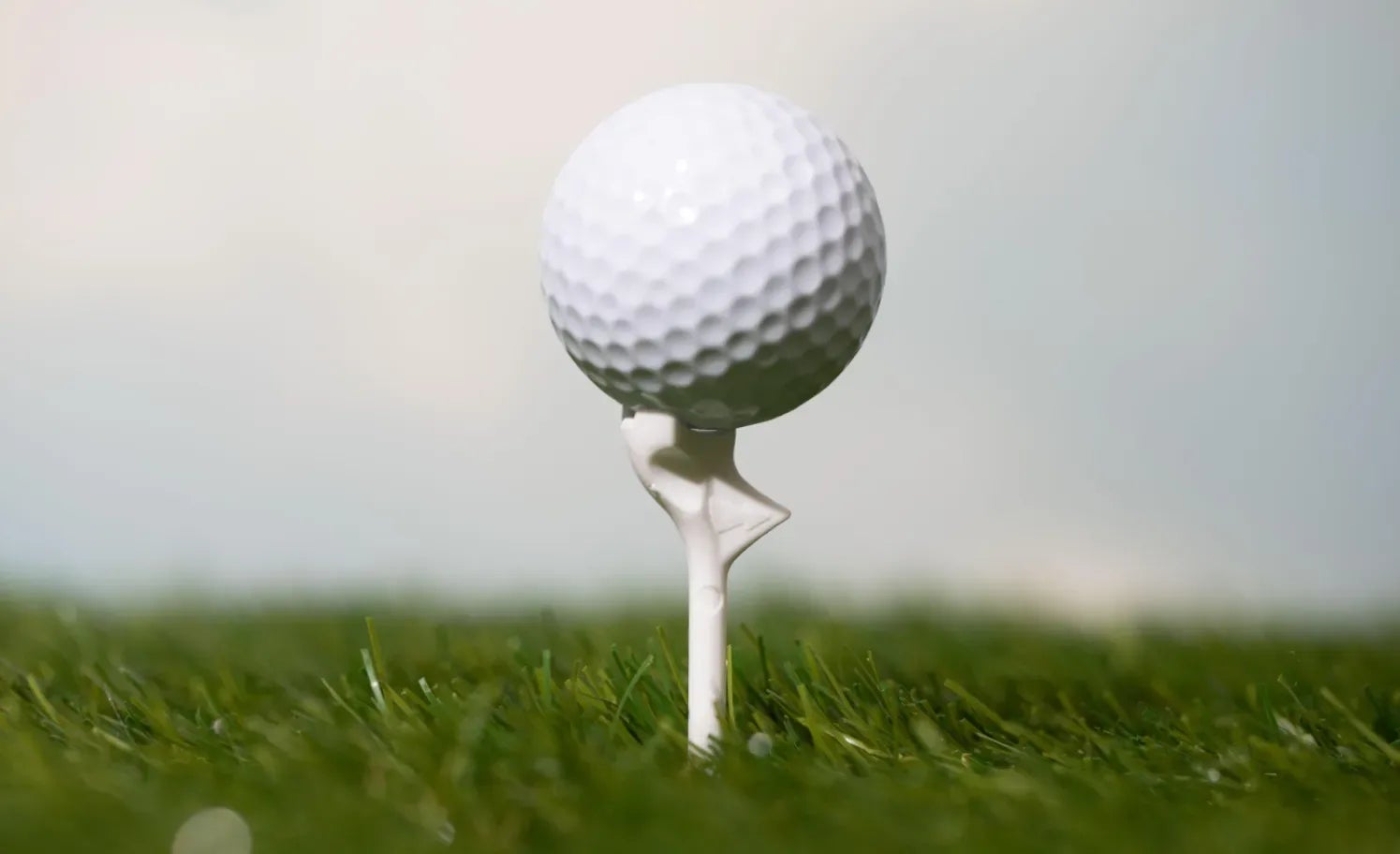 Flight Path Serenity 1 Updated 92e90b54c7d1a2839289467237047a53