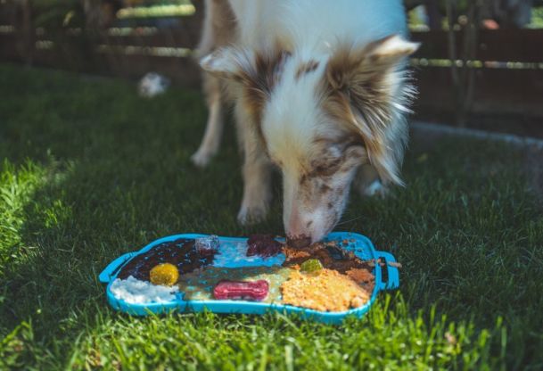 Outdoor Lick Mat